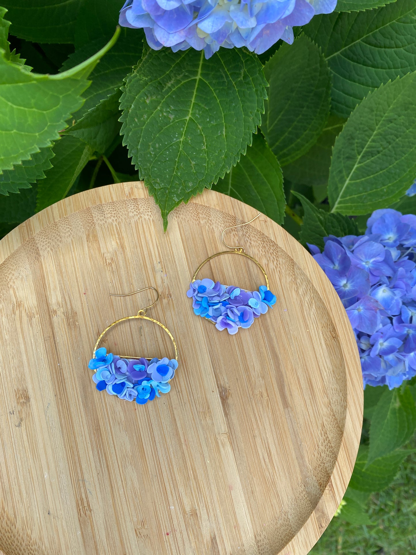 Hydrangea blooms