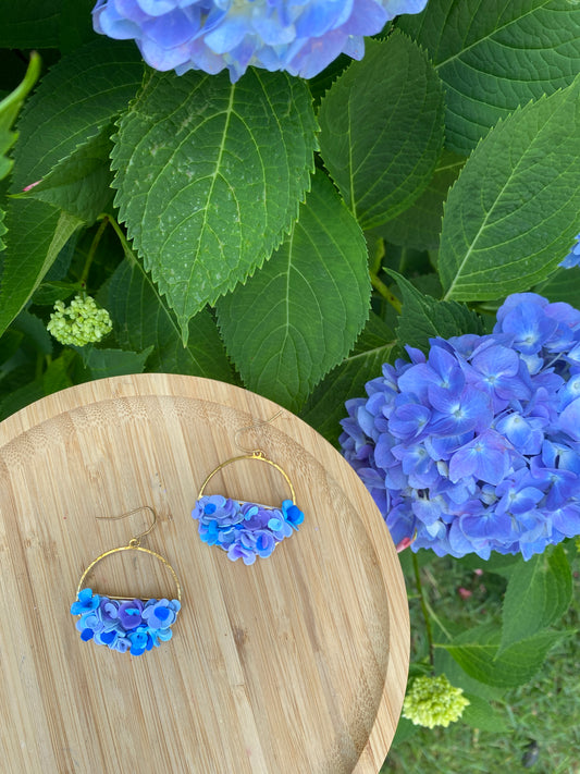 Hydrangea blooms