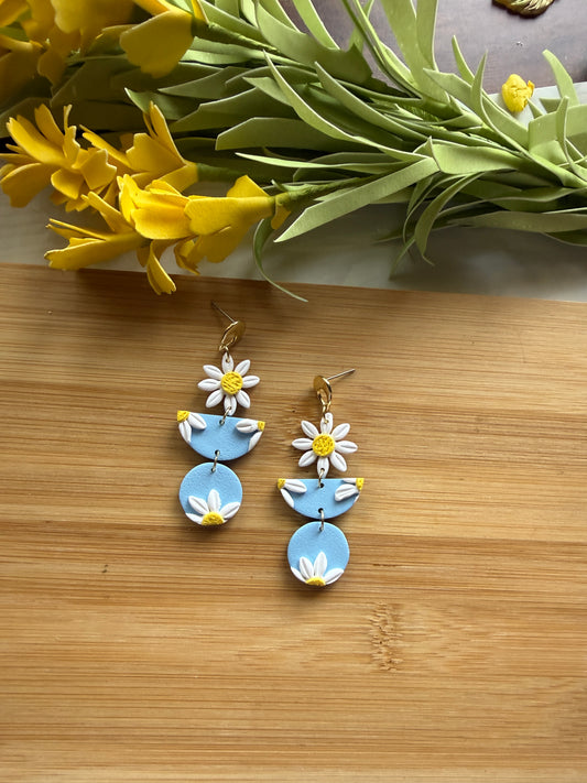 Blue daisies