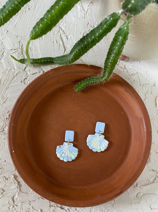 Petite seashells